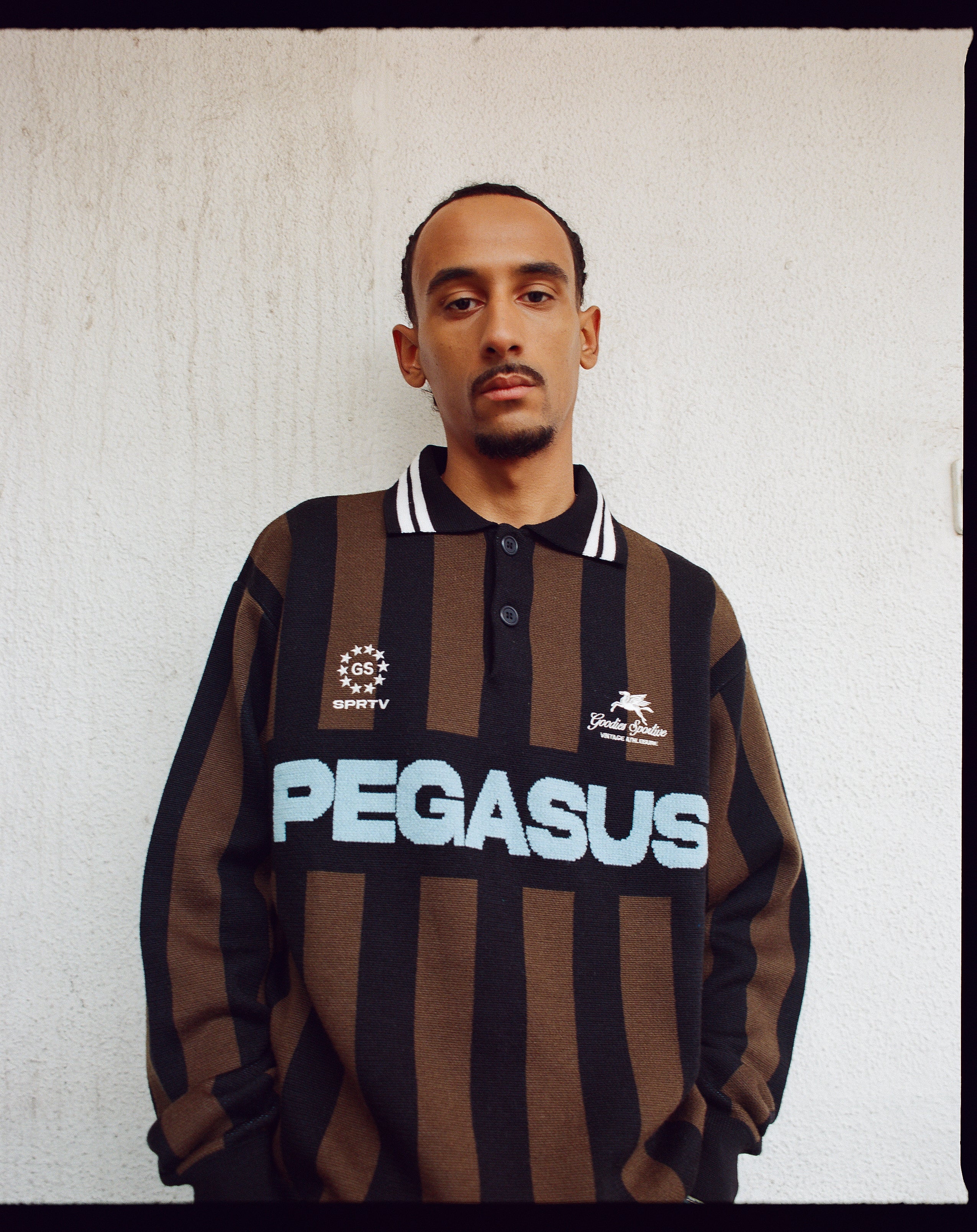 Dachshund Polo Brown/Black