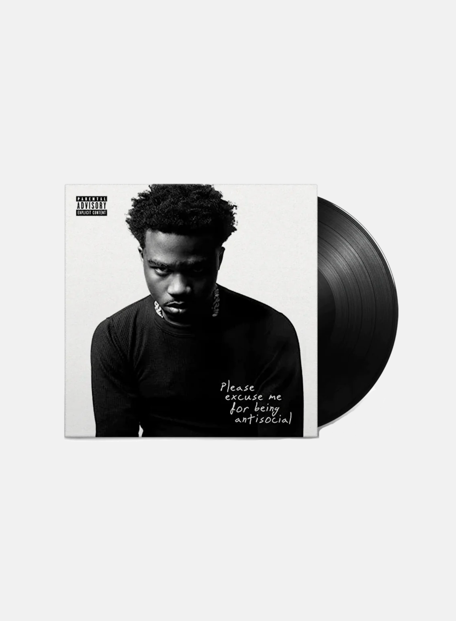 Vinyl Please Excuse Me for Being Ant - Hympala Store 