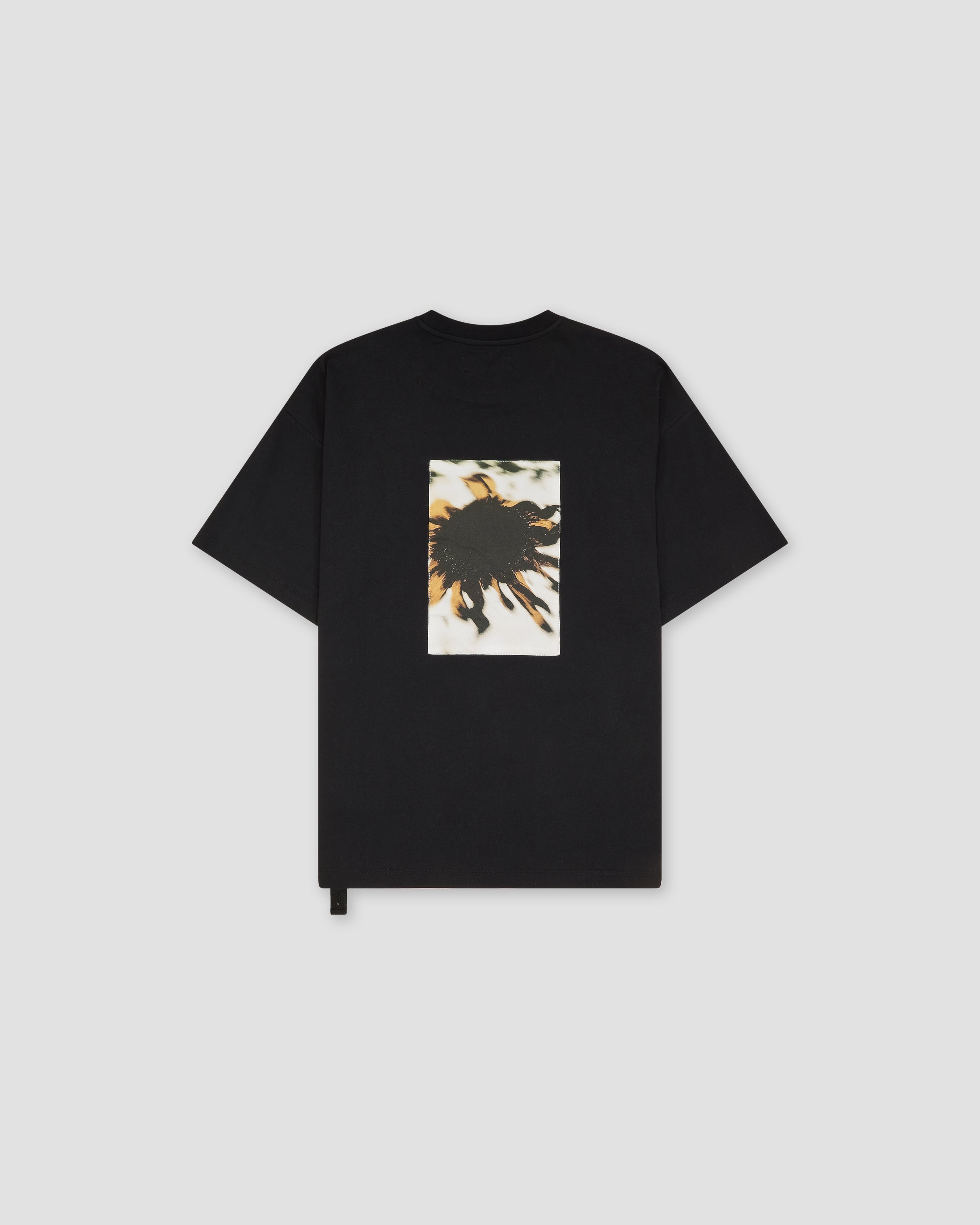 Loose Fit Tshirt Landart 02 Print