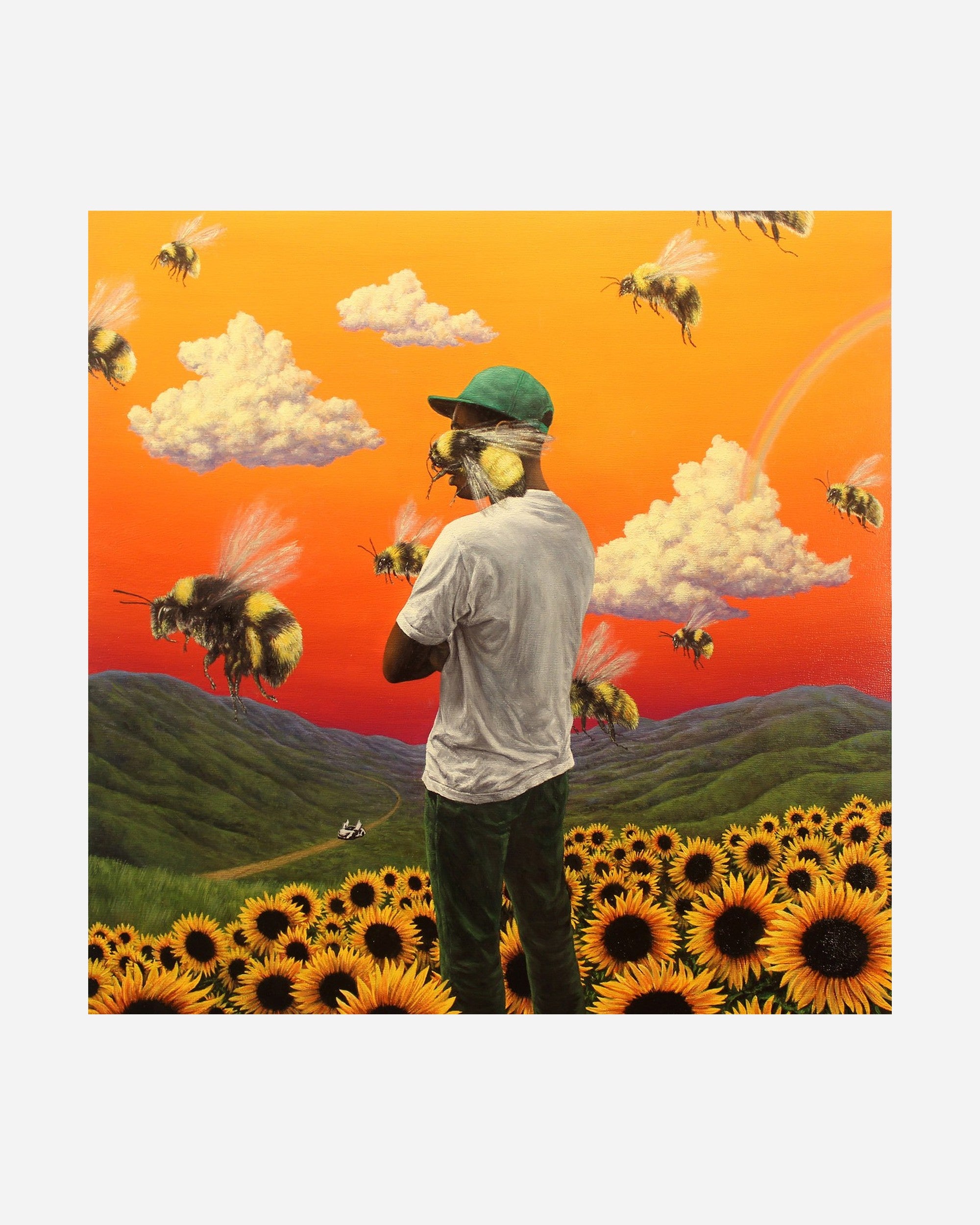 Tyler, The Creator - Flower Boy vinyl LP cover